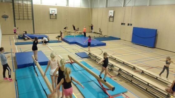 Avanti turnen dans gymnastiek Foto top1 1140